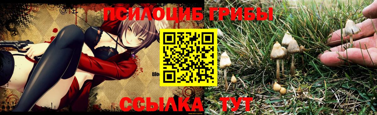 Галлюциногенные грибы MAGIC MUSHROOMS  Вход с VPN  Ханты-Мансийск  Галлюциногенные грибы GOLDEN TEACHER 