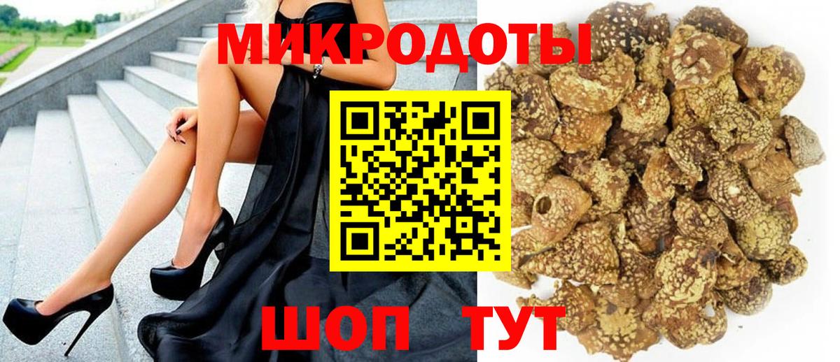 Галлюциногенные грибы Psilocybine cubensis Ханты-Мансийск